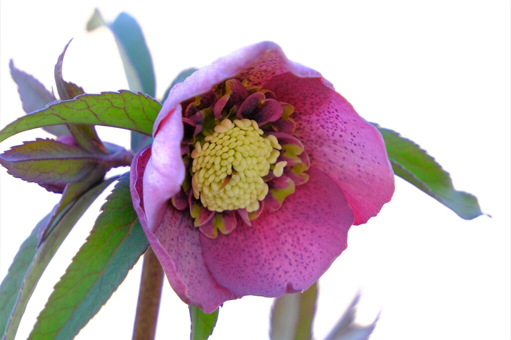 散歩の途中で。⑤