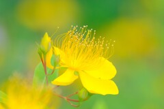 散歩の途中で。