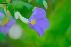 散歩の途中で。