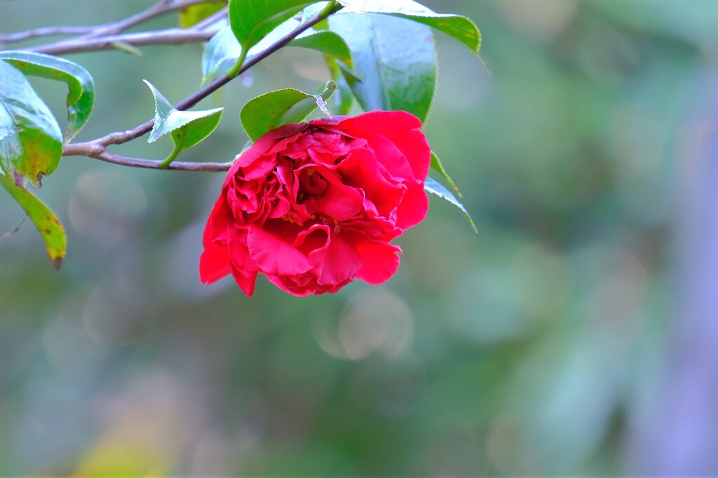 散歩の途中で、Ⅱ