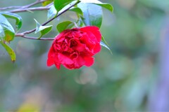 散歩の途中で、Ⅱ