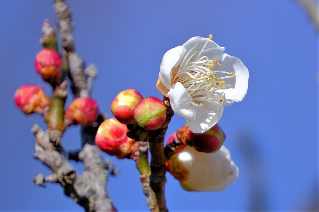 散歩の途中で。②