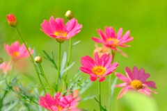 (2)散歩の途中で。-17