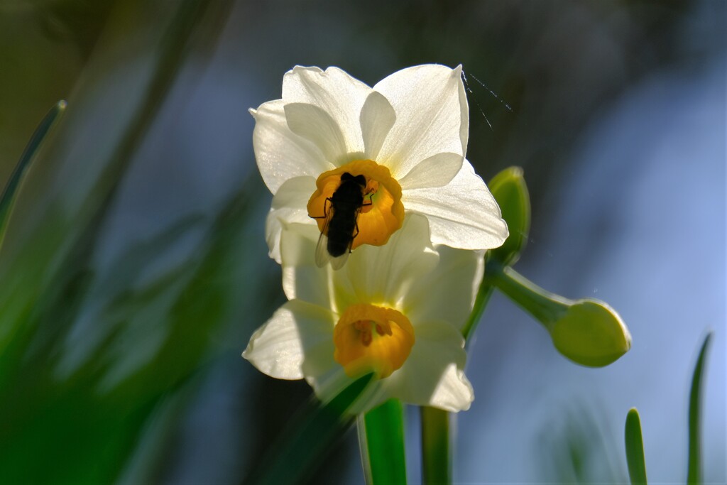 散歩の途中で。Ⅳ