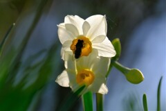 散歩の途中で。Ⅳ