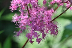 散歩の途中で。⑨