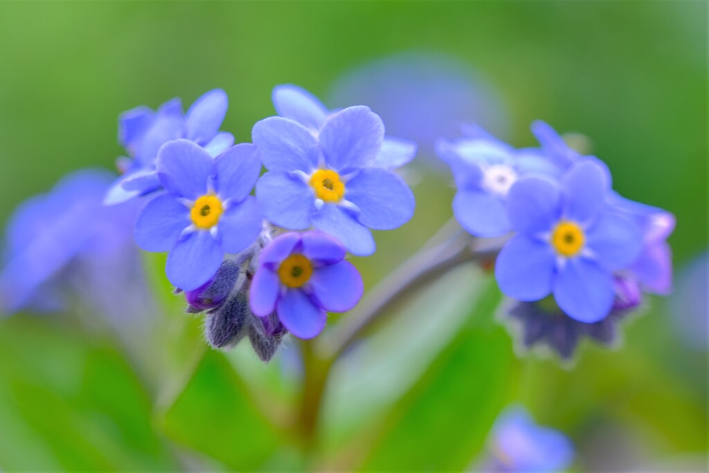 散歩の途中で。Ⅸ