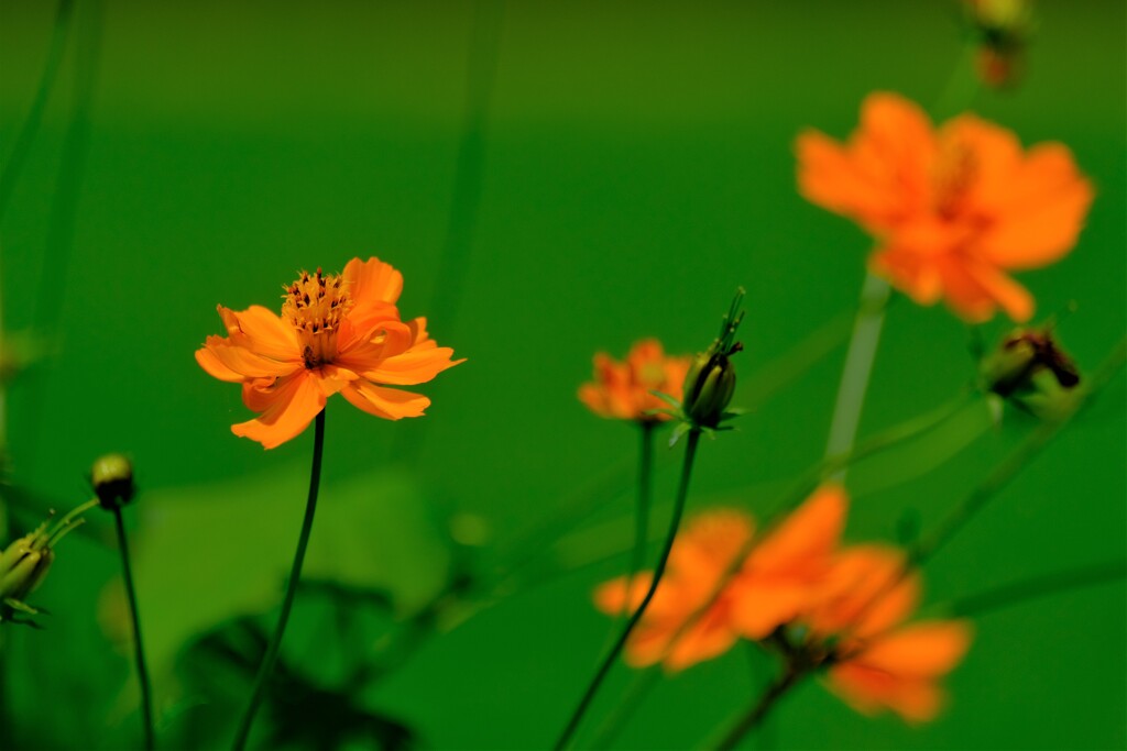 散歩の途中で。４