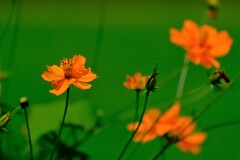 散歩の途中で。４