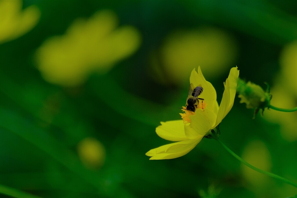散歩の途中で③。