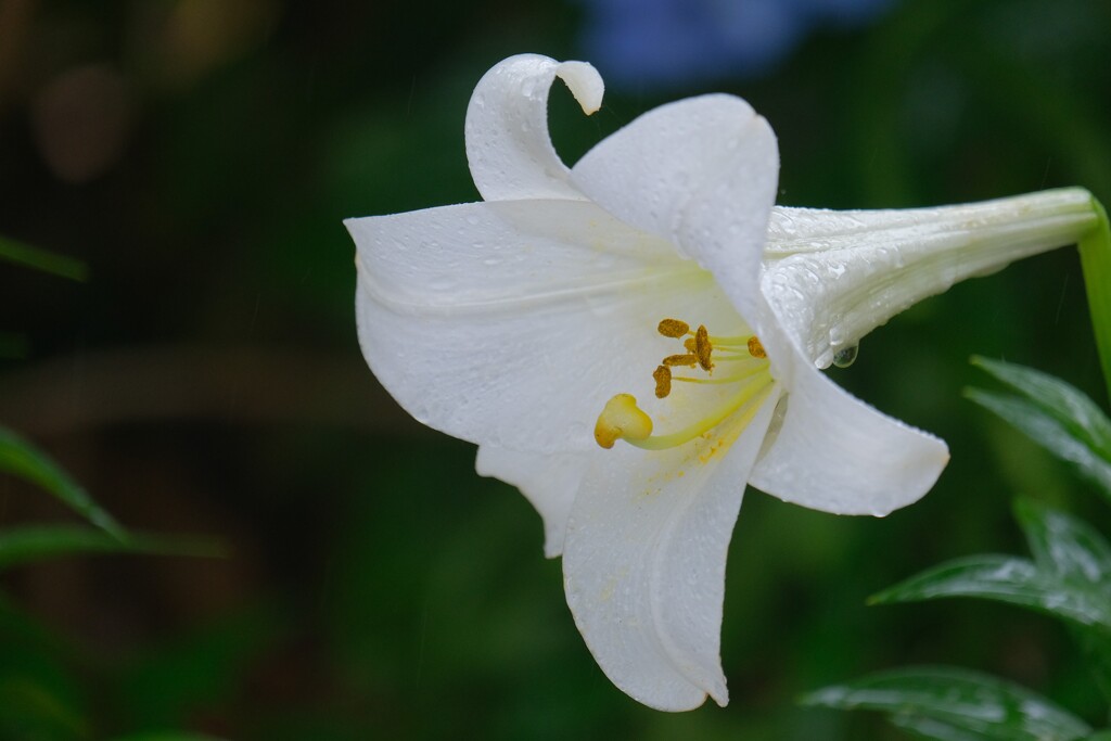 散歩の途中で。