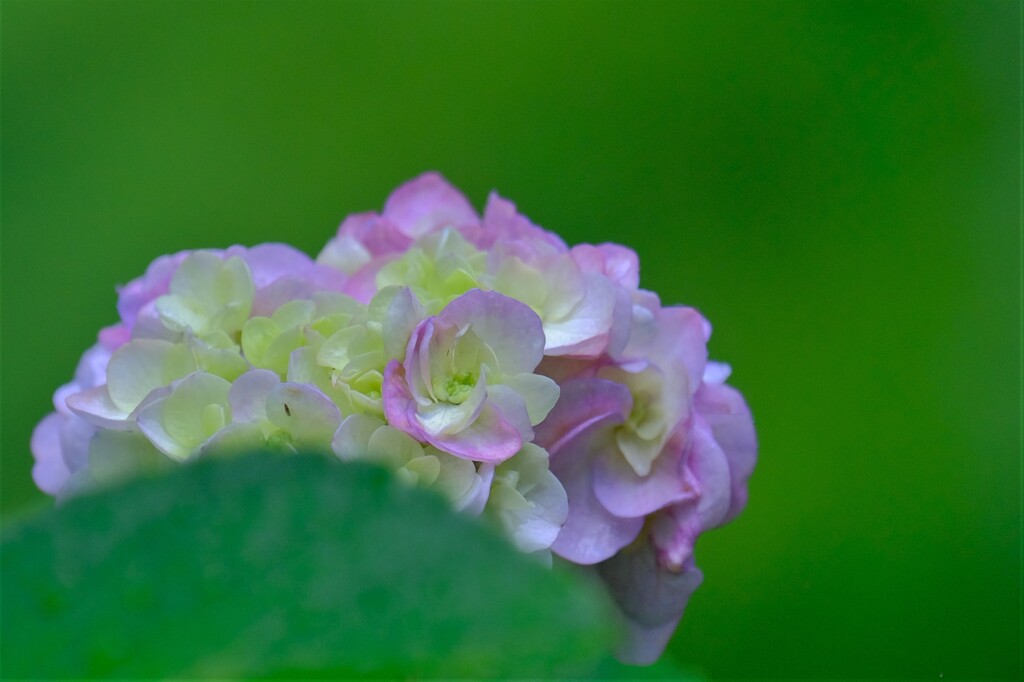 散歩の途中で。７