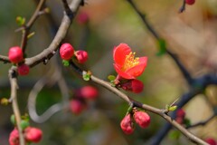 散歩の途中で。Ⅶ