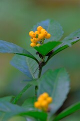 散歩の途中で。Ⅱ