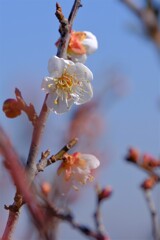 散歩の途中で。3