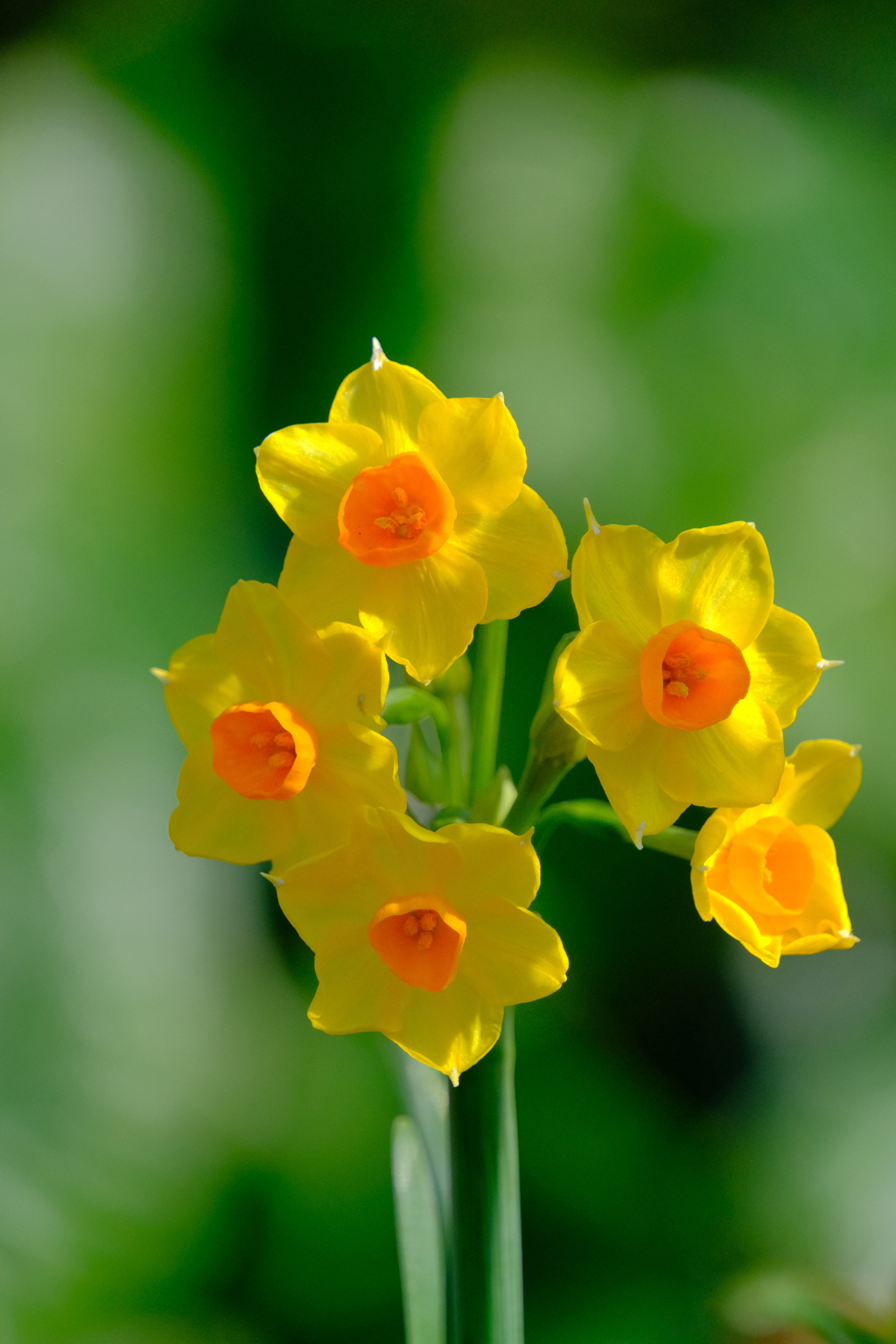 散歩の途中で。③