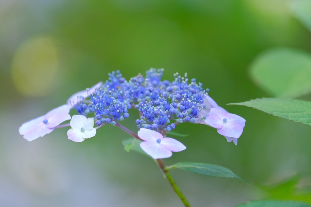 散歩の途中で。