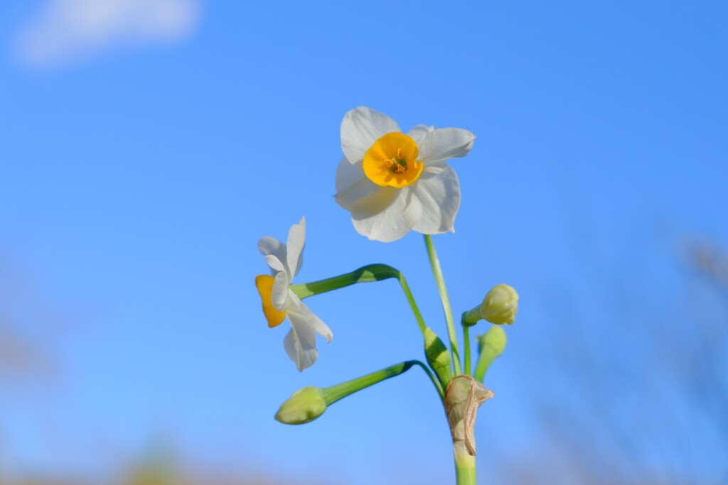 散歩の途中で。③