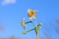 散歩の途中で。③