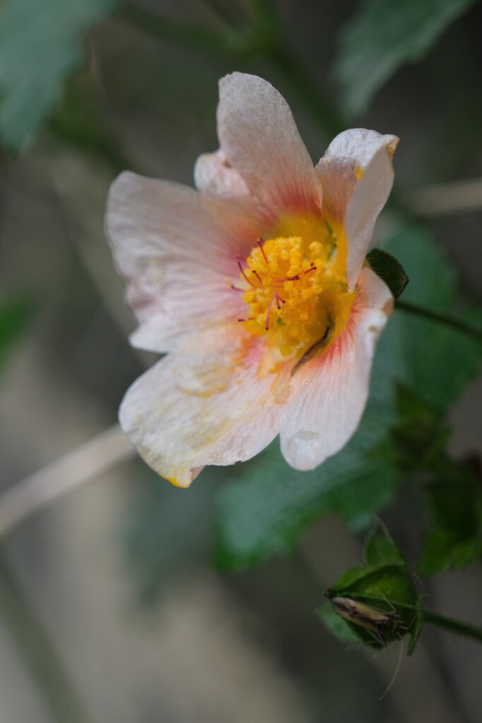 散歩の途中で。Ⅷ