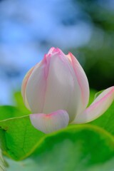 散歩の途中で。⑨