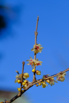 散歩の途中で。２