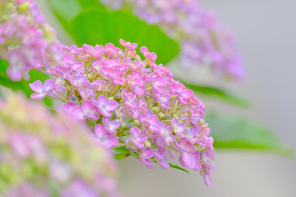 散歩の途中で。