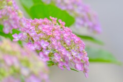 散歩の途中で。