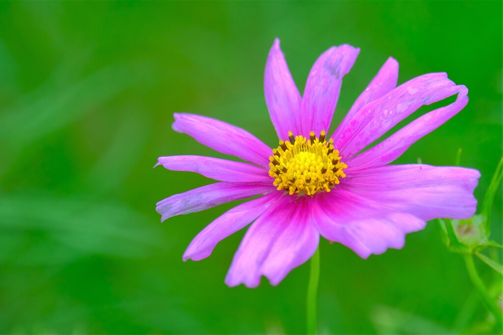 散歩の途中で。②