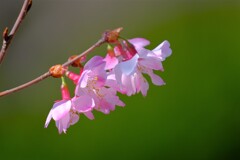 散歩の途中で。１