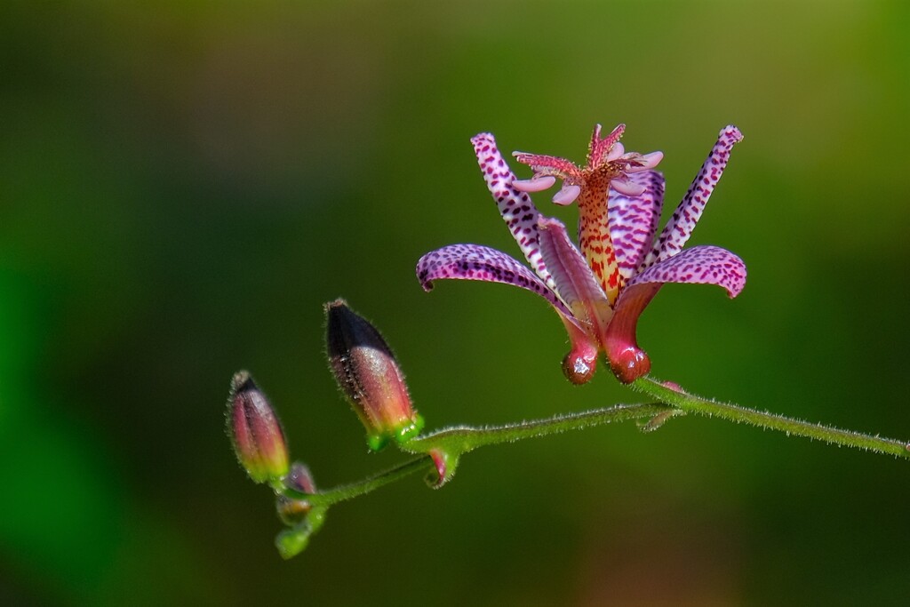 散歩の途中で。Ⅱ