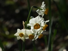 散歩の途中で。Ⅰ