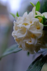 散歩の途中で。5