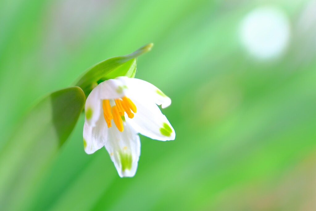 散歩の途中で。5