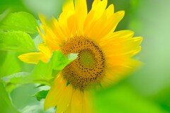 散歩の途中で。