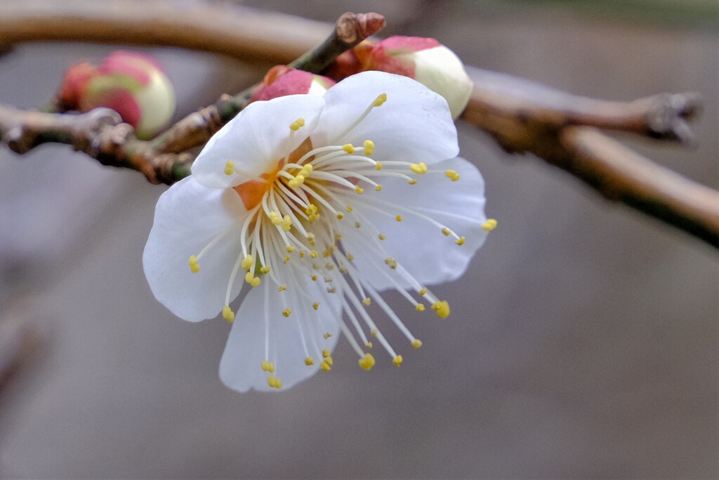 散歩の途中で。Ⅶ