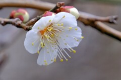 散歩の途中で。Ⅶ