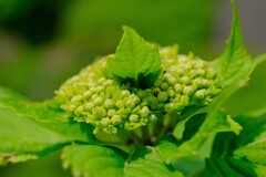 散歩の途中で。1