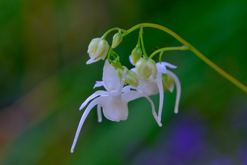 散歩の途中で。Ⅳ