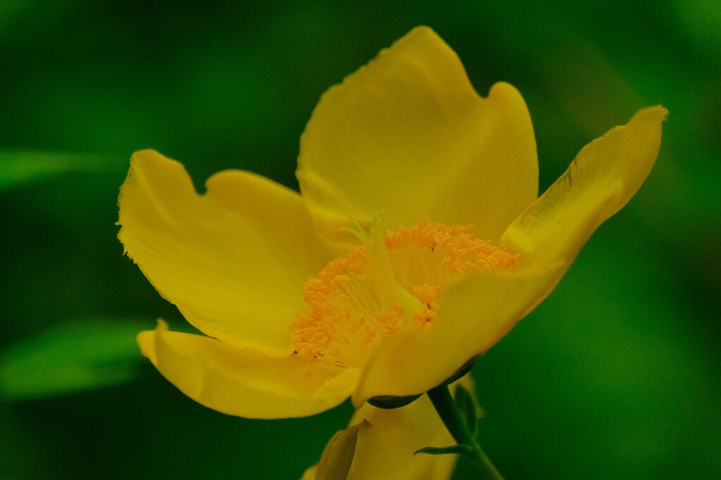 散歩の途中で。