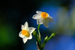 散歩の途中で。５