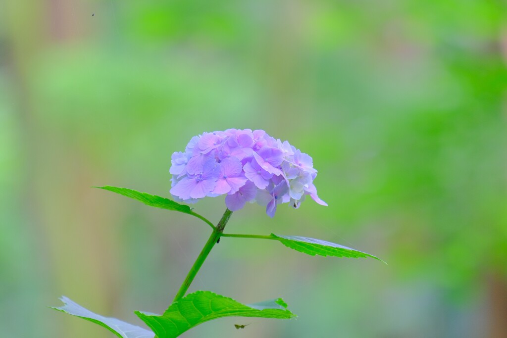 散歩の途中で。