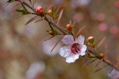 散歩の途中で。9