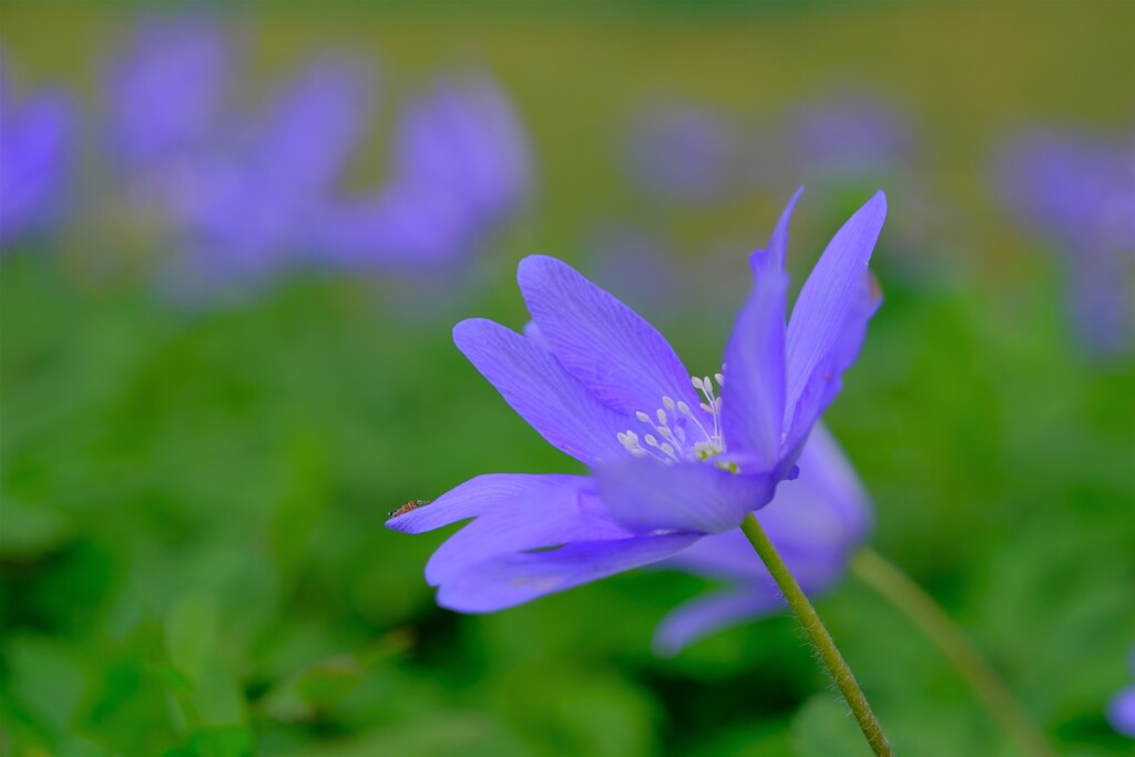 散歩の途中で。Ⅰ