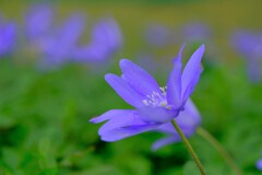 散歩の途中で。Ⅰ