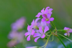 散歩の途中で、２