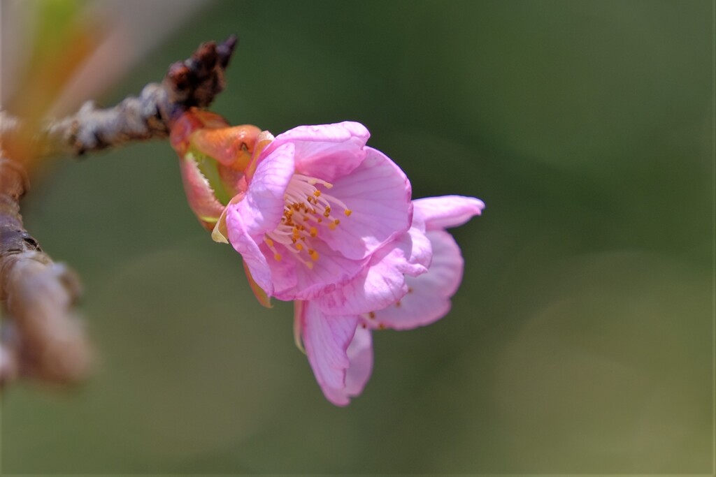 散歩の途中で。６