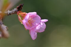 散歩の途中で。６