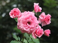 散歩の途中で。