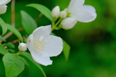 (2)散歩の途中で。-４